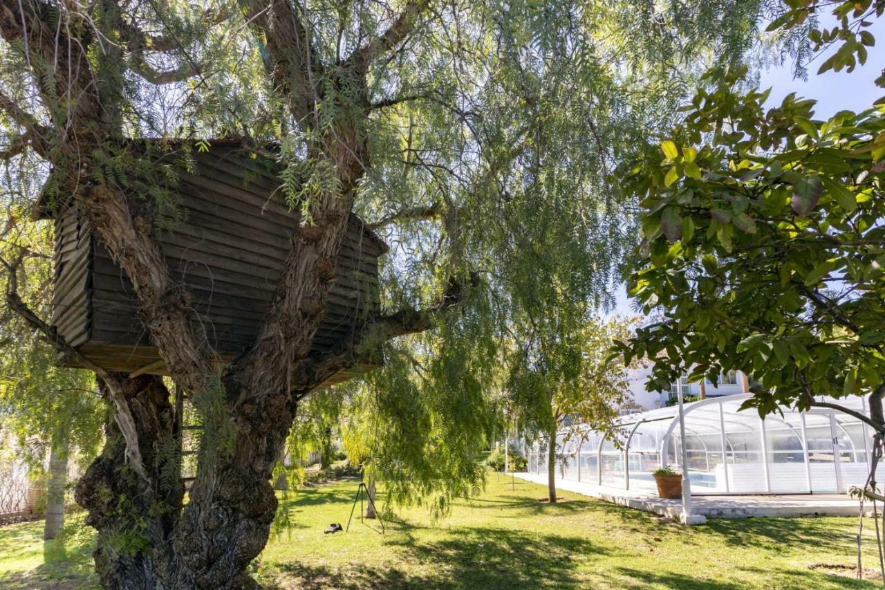 Villa Tocororo En Pinos De Alhaurin Alhaurin de la Torre Luaran gambar